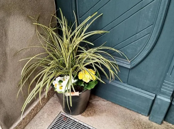 Apartment Modernes Wohnen Im Herzen Von